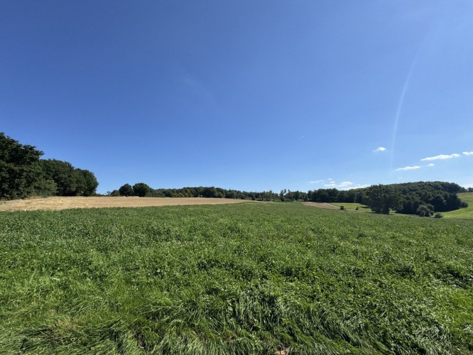 Weitblick Einfamilienhaus Puderbach