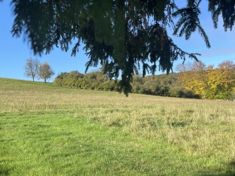 IMG_6622 Einfamilienhaus Horhausen