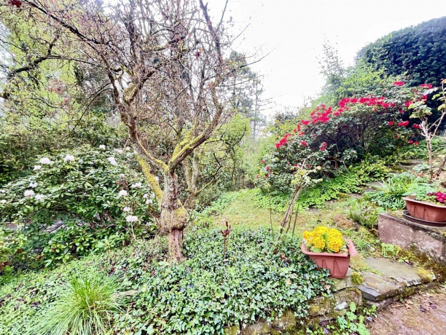  Einfamilienhaus Breitscheid