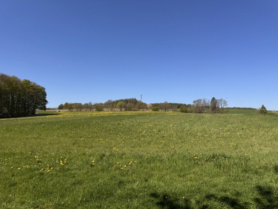 Gartenaussicht Einfamilienhaus Mehren