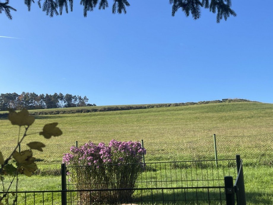 IMG_6624 Einfamilienhaus Horhausen