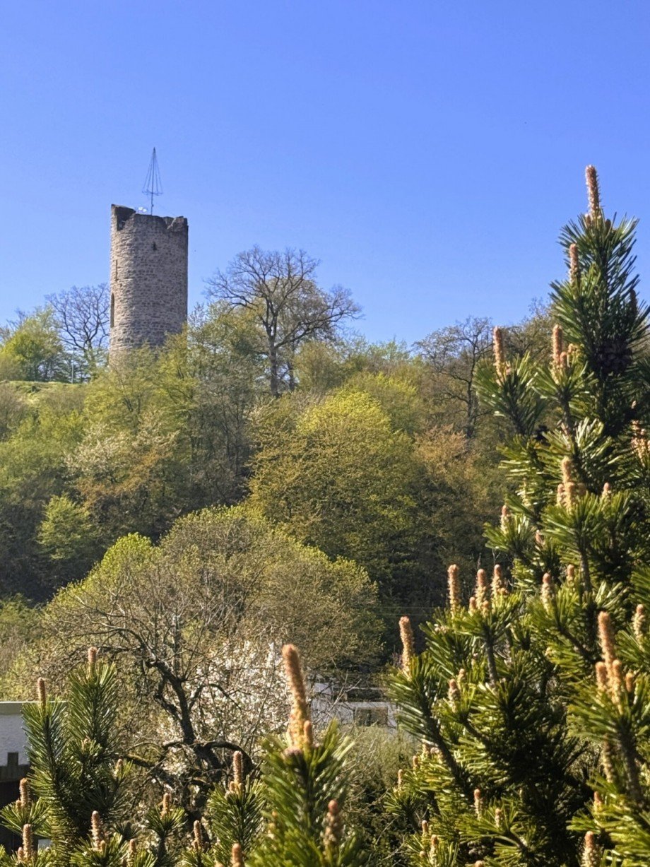 Burg Einfamilienhaus Neustadt (Wied)